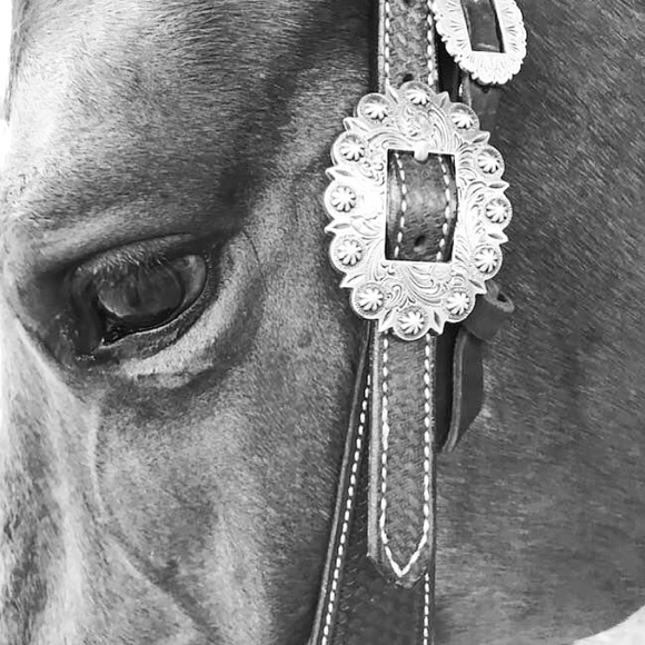 Meet your Posher, Bonnie - Picture 6 of 7